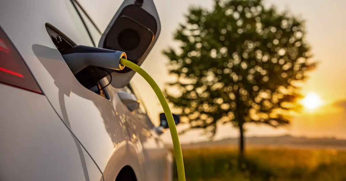 Carros importados europeus e chineses em pátio portuário simbolizando o acordo comercial Mercosul-UE